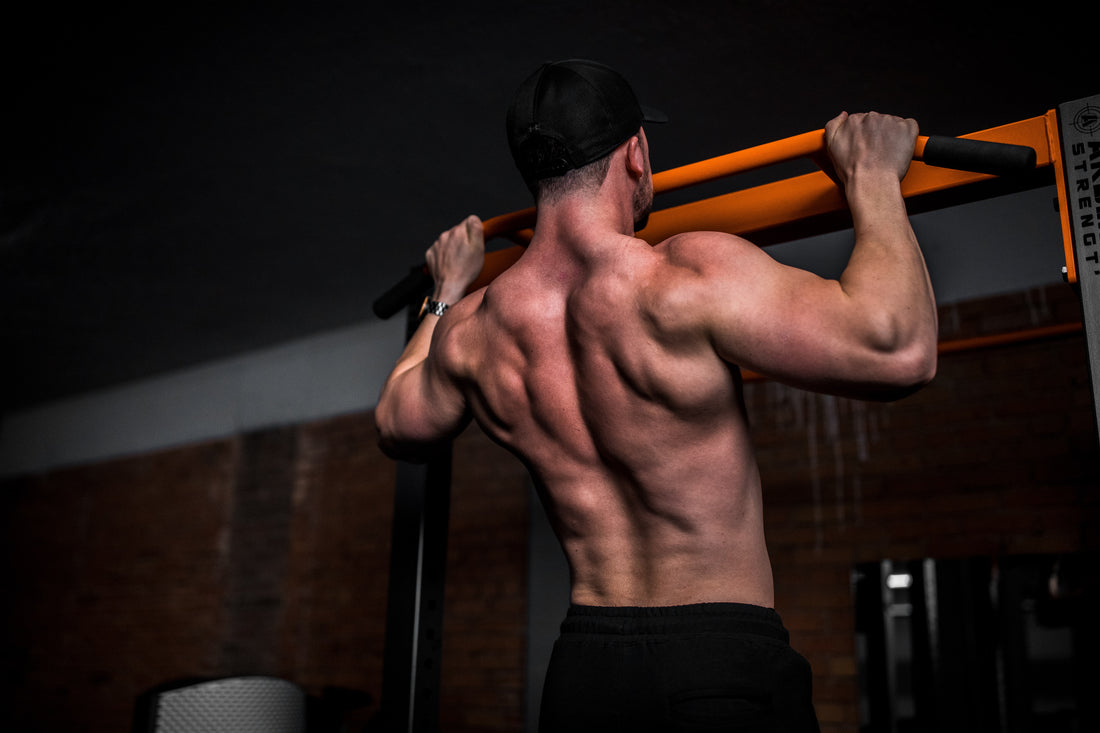 Does progressive overload build muscle?